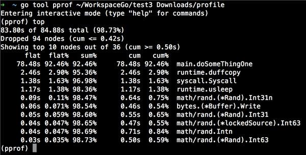 Go性能分析工具详解