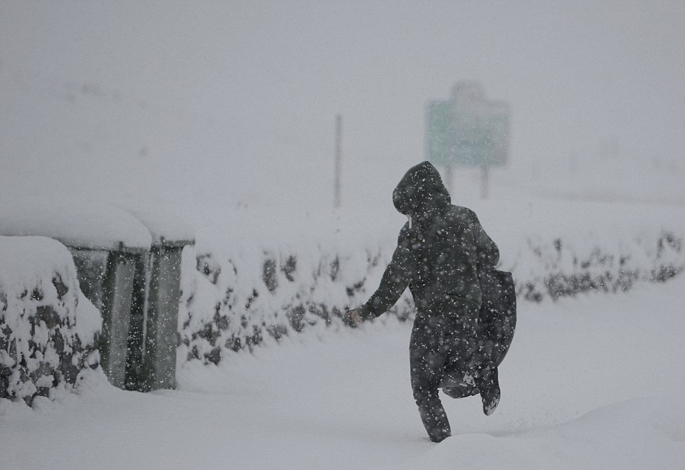 暴风骤雨，超强台风与暴雪的双重挑战