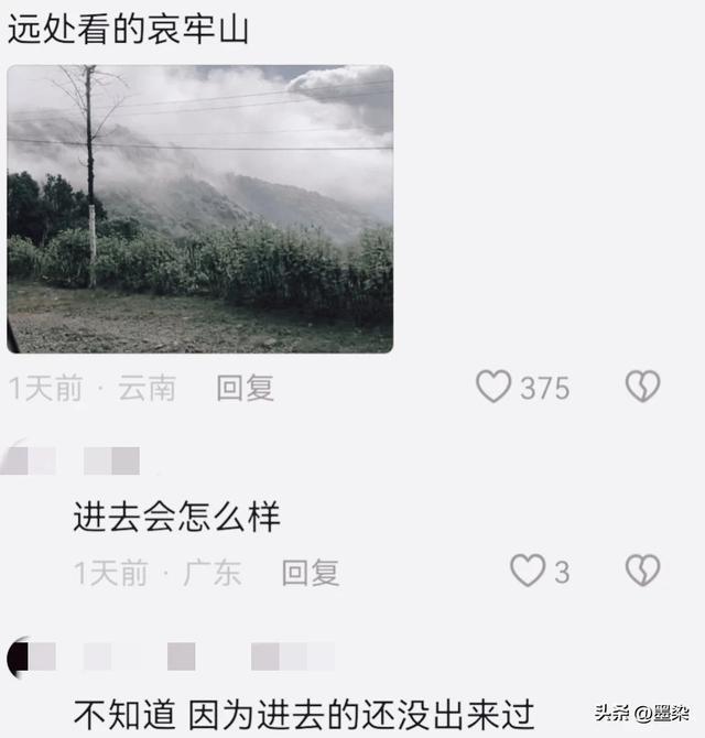 女博主为误闯哀牢山道歉，真诚反思与深刻自省