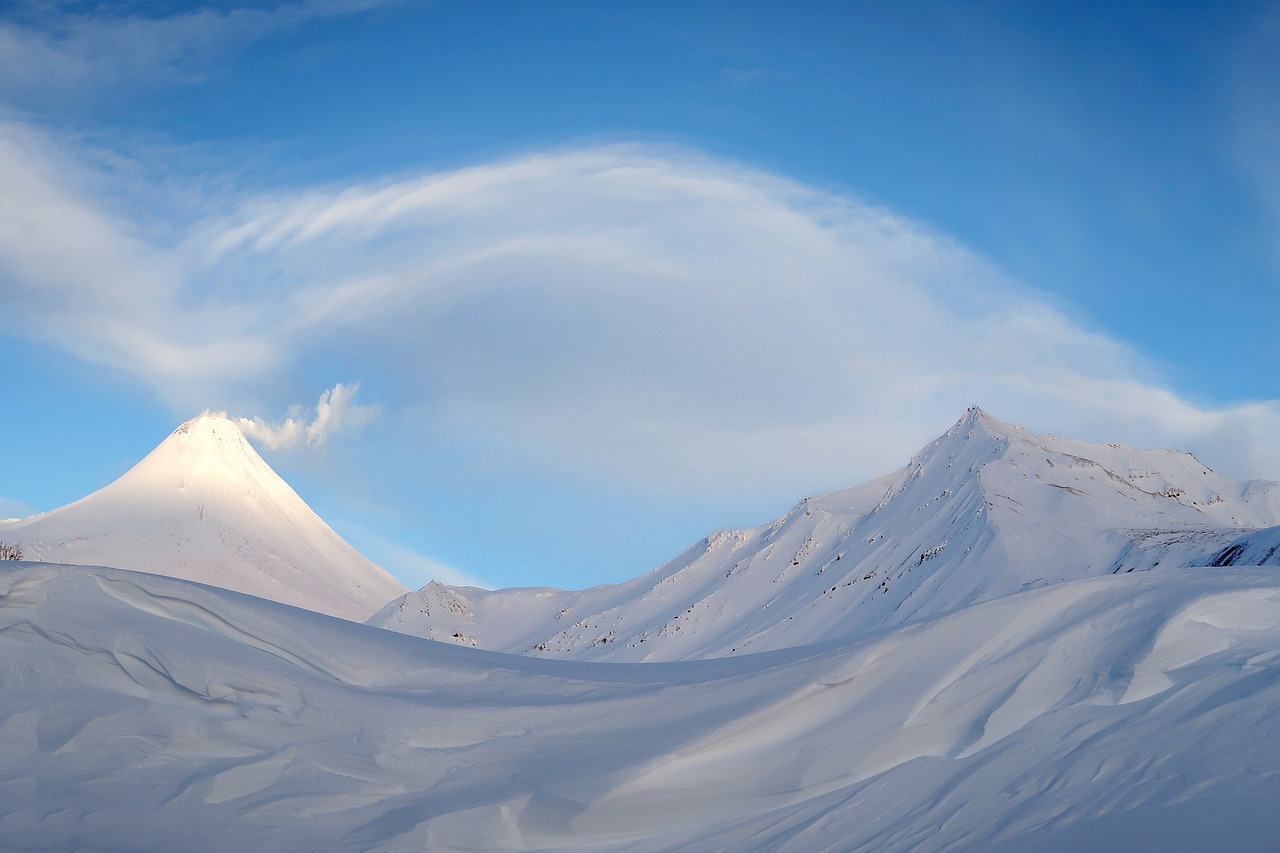 上海的冬日奇景，雪舞申城