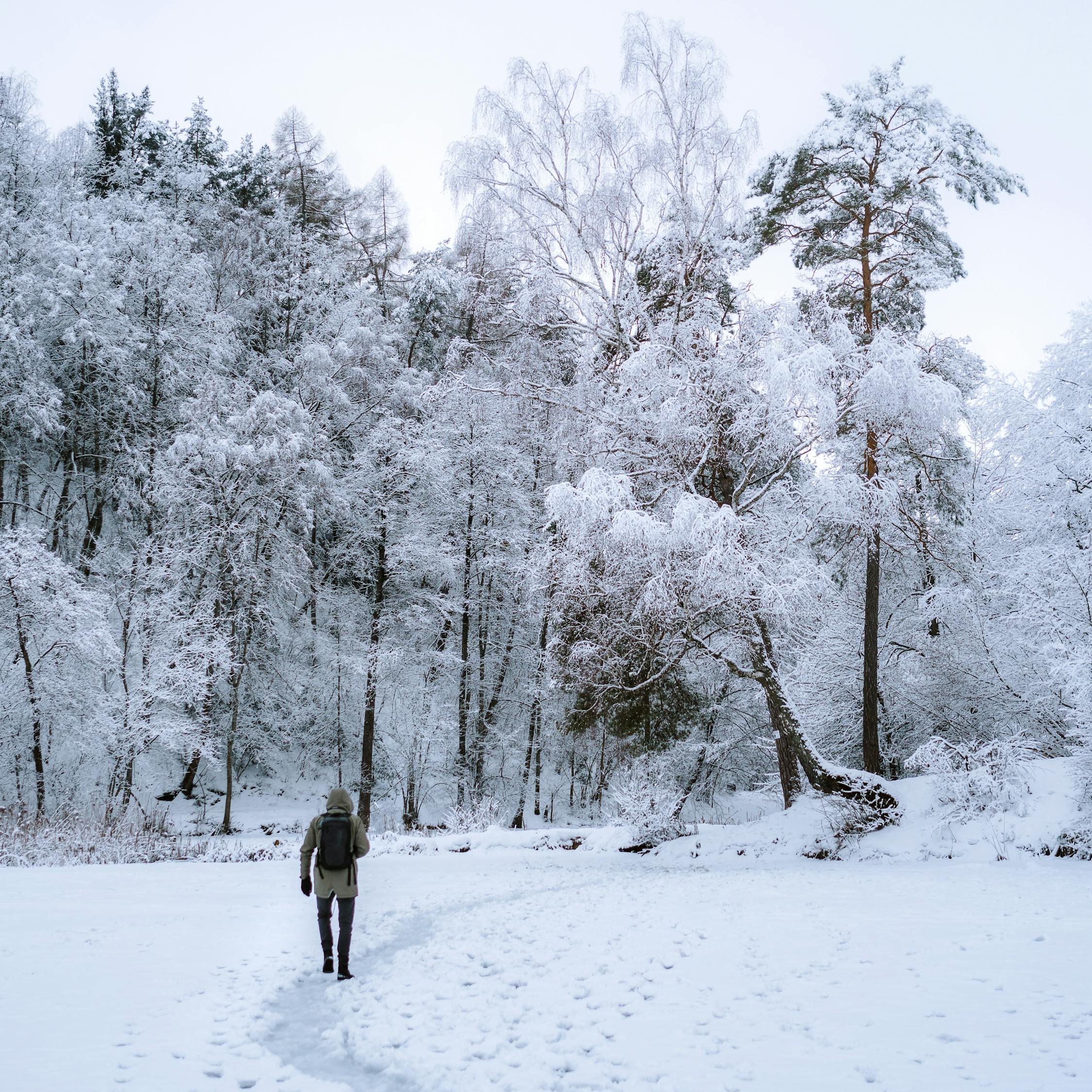 毛不易的冬日赠礼，广州的雪