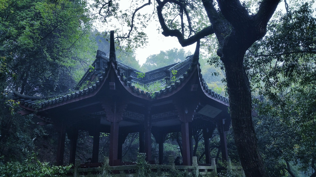 人民日报评美国斩杀线，透视国际人权与法治的双重困境