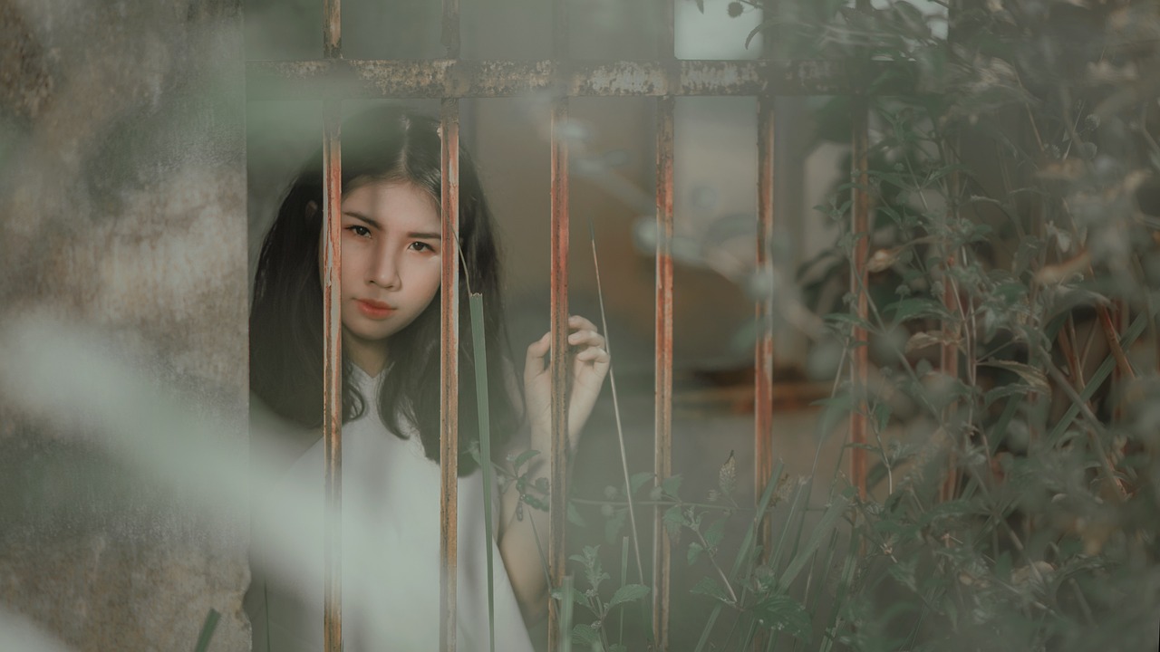 云南新品月季征名——娇龙断层领先