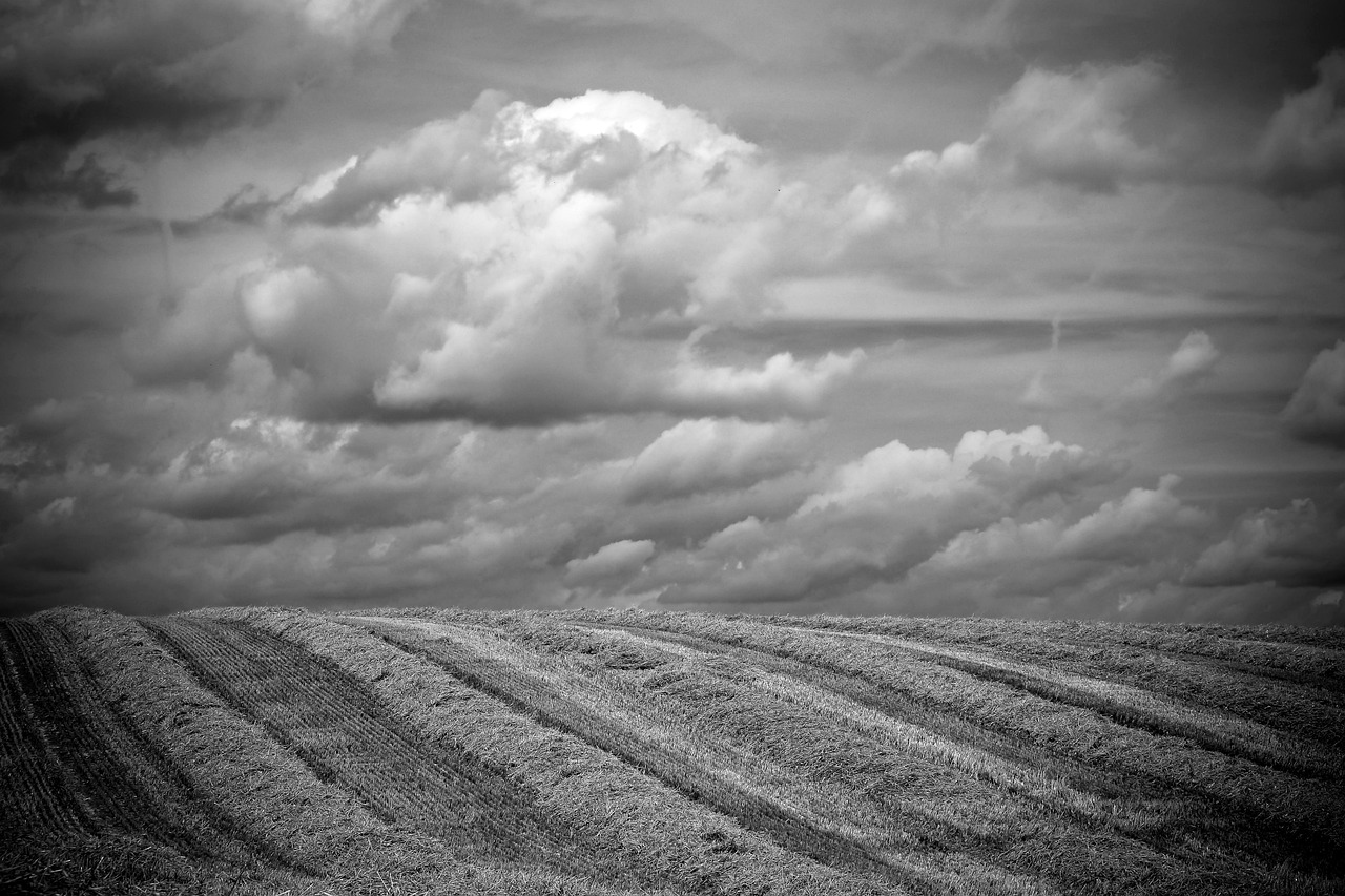 古巴启动战争状态，历史转折与全球影响